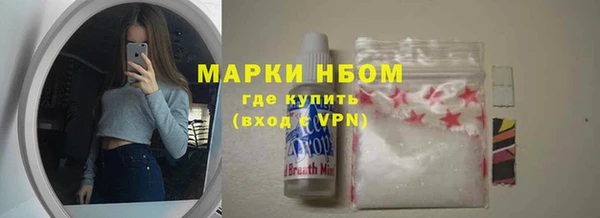 стаф Ладушкин