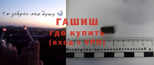 стаф Ладушкин
