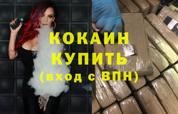 дживик Лагань