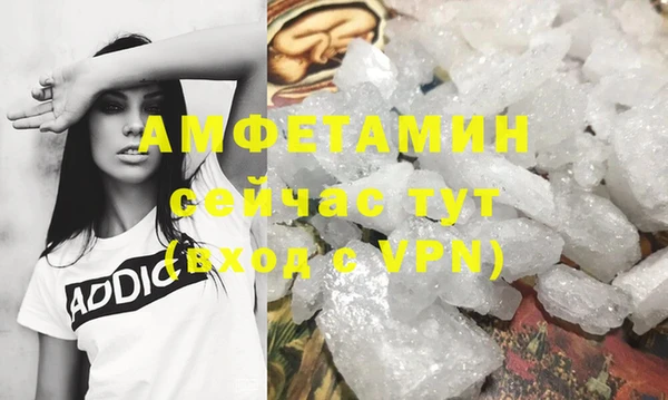 стаф Ладушкин