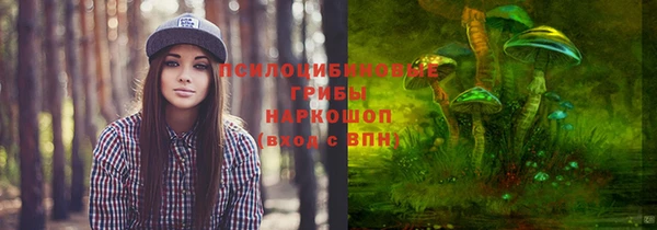 дживик Лагань