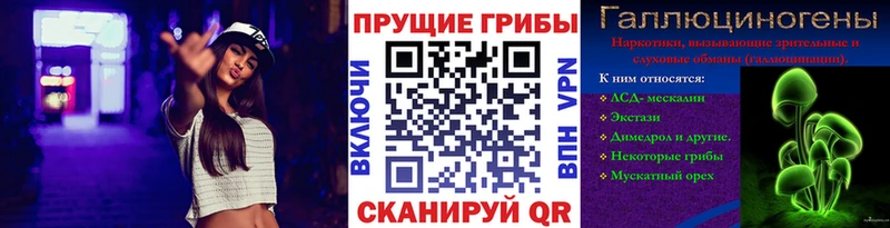 как найти наркотики Сызрань Псилоцибиновые грибы Cubensis